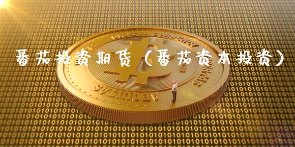 番茄投资期货（番茄资本投资）_https://www.xmqjcw.com_期货直播室_第1张