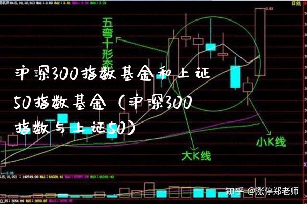 沪深300指数基金和上证50指数基金（沪深300指数与上证50）_https://www.xmqjcw.com_期货投资_第1张