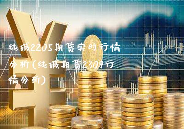 纯碱2205期货实时行情分析(纯碱期货2309行情分析)_https://www.xmqjcw.com_基金理财_第1张