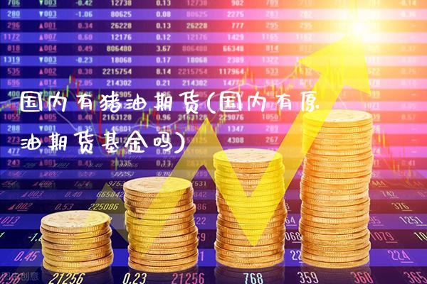 国内有猪油期货(国内有原油期货基金吗)_期货百科_第1张_秦聚理财 国内有猪油期货(国内有原油期货基金吗)_https://www.xmqjcw.com_期货百科_第1张