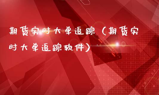 期货实时大单追踪（期货实时大单追踪软件）_https://www.xmqjcw.com_期货投资_第1张
