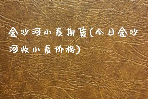 金沙河小麦期货(今日金沙河收小麦价格)_https://www.xmqjcw.com_期货投资_第1张