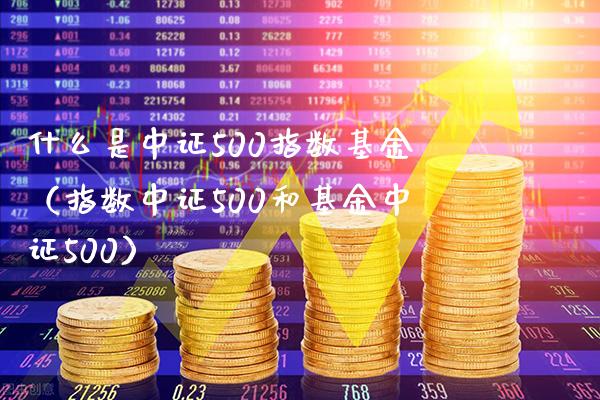 什么是中证500指数基金（指数中证500和基金中证500）_https://www.xmqjcw.com_期货投资_第1张