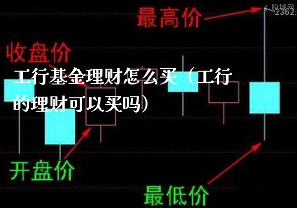 工行基金理财怎么买（工行的理财可以买吗）_https://www.xmqjcw.com_基金理财_第1张