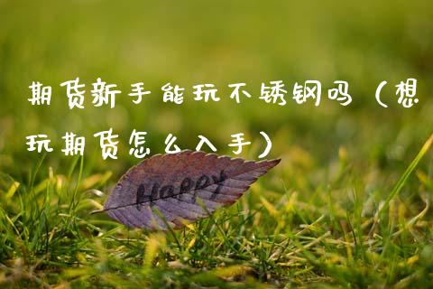期货新手能玩不锈钢吗（想玩期货怎么入手）_https://www.xmqjcw.com_期货直播室_第1张