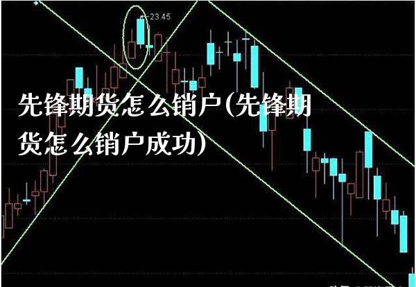 先锋期货怎么销户(先锋期货怎么销户成功)_https://www.xmqjcw.com_期货投资_第1张