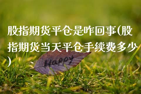 股指期货平仓是咋回事(股指期货当天平仓手续费多少)_https://www.xmqjcw.com_期货百科_第1张