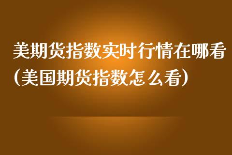 美期货指数实时行情在哪看(美国期货指数怎么看)_https://www.xmqjcw.com_期货百科_第1张