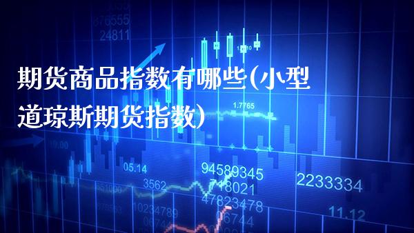 期货商品指数有哪些(小型道琼斯期货指数)_https://www.xmqjcw.com_期货百科_第1张