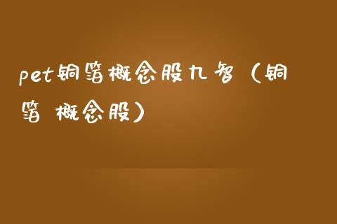 pet铜箔概念股九智（铜箔 概念股）_https://www.xmqjcw.com_股票投资_第1张