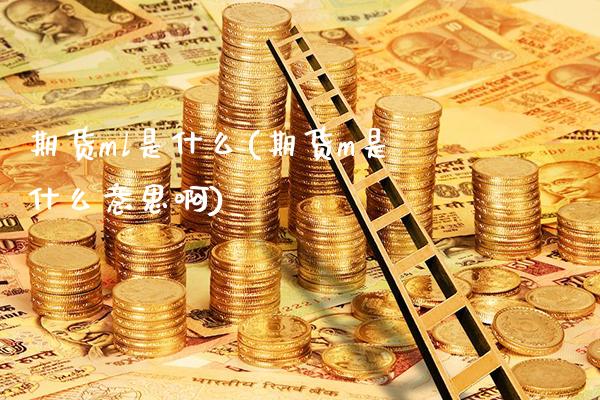 期货ml是什么(期货m是什么意思啊)_https://www.xmqjcw.com_期货投资_第1张
