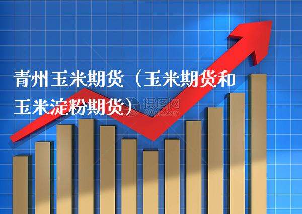 青州玉米期货（玉米期货和玉米淀粉期货）_https://www.xmqjcw.com_期货行情_第1张