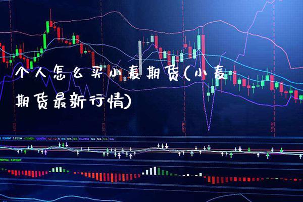 个人怎么买小麦期货(小麦期货最新行情)_https://www.xmqjcw.com_期货行情_第1张