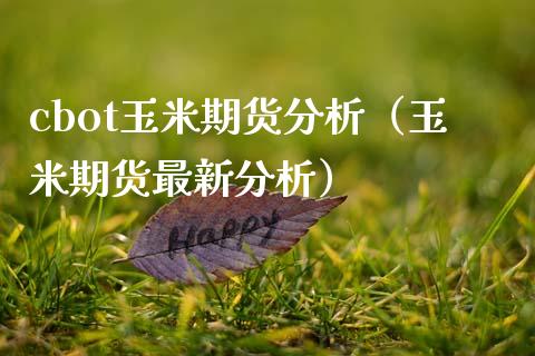 cbot玉米期货分析（玉米期货最新分析）_https://www.xmqjcw.com_期货投资_第1张