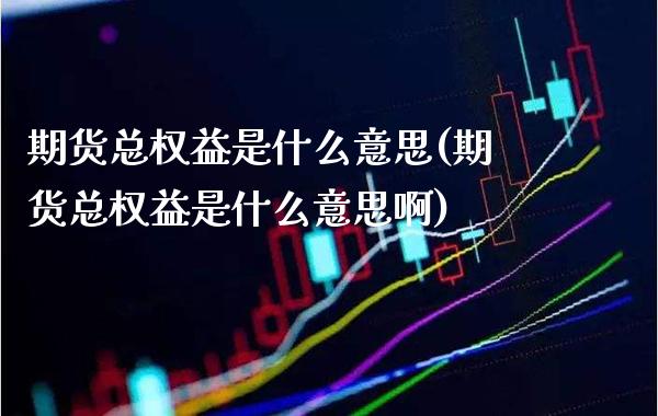 期货总权益是什么意思(期货总权益是什么意思啊)_https://www.xmqjcw.com_期货投资_第1张