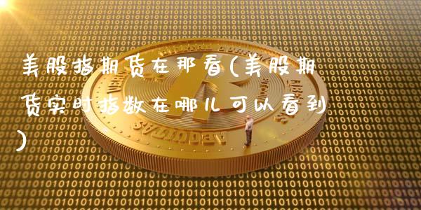 美股指期货在那看(美股期货实时指数在哪儿可以看到)_https://www.xmqjcw.com_期货百科_第1张