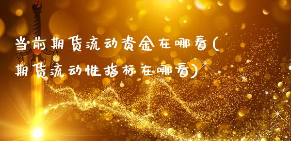 当前期货流动资金在哪看(期货流动性指标在哪看)_https://www.xmqjcw.com_期货百科_第1张
