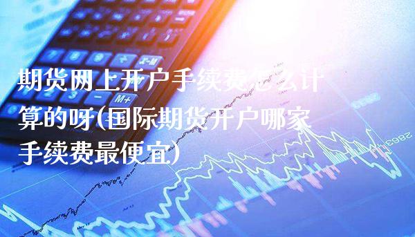 期货网上开户手续费怎么计算的呀(国际期货开户哪家手续费最便宜)_https://www.xmqjcw.com_期货行情_第1张