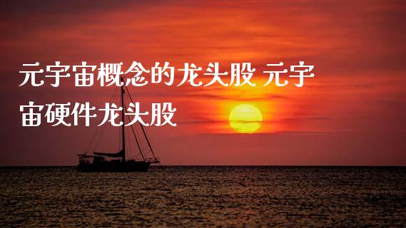 元宇宙概念的龙头股 元宇宙硬件龙头股_https://www.xmqjcw.com_股票投资_第1张