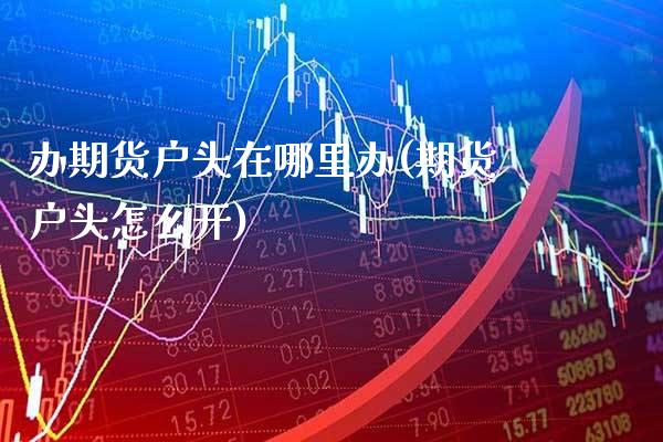 办期货户头在哪里办(期货户头怎么开)_https://www.xmqjcw.com_期货百科_第1张