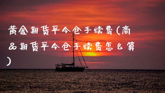 黄金期货平今仓手续费(商品期货平今仓手续费怎么算)_https://www.xmqjcw.com_期货开户_第1张