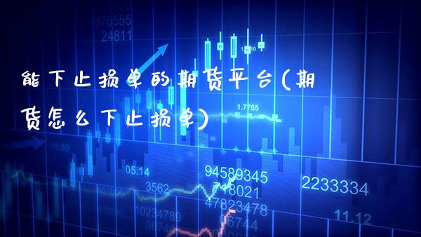 能下止损单的期货平台(期货怎么下止损单)_https://www.xmqjcw.com_期货投资_第1张