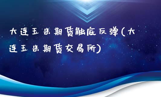 大连玉米期货触底反弹(大连玉米期货交易所)_https://www.xmqjcw.com_期货百科_第1张