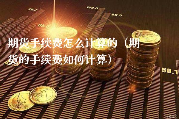 期货手续费怎么计算的（期货的手续费如何计算）_https://www.xmqjcw.com_期货行情_第1张