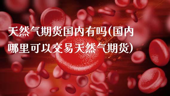 天然气期货国内有吗(国内哪里可以交易天然气期货)_https://www.xmqjcw.com_基金理财_第1张