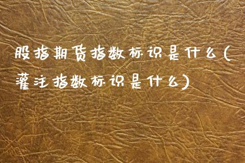 股指期货指数标识是什么(灌注指数标识是什么)_https://www.xmqjcw.com_基金理财_第1张