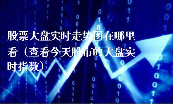 股票大盘实时走势图在哪里看（查看今天股市的大盘实时指数）_https://www.xmqjcw.com_期货投资_第1张
