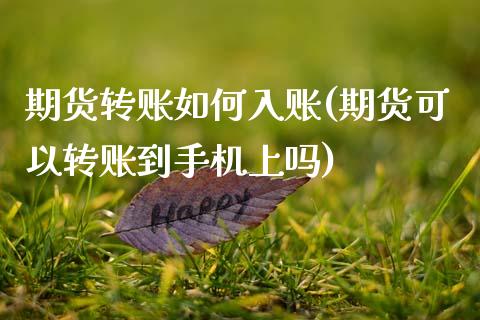 期货转账如何入账(期货可以转账到手机上吗)_https://www.xmqjcw.com_基金理财_第1张