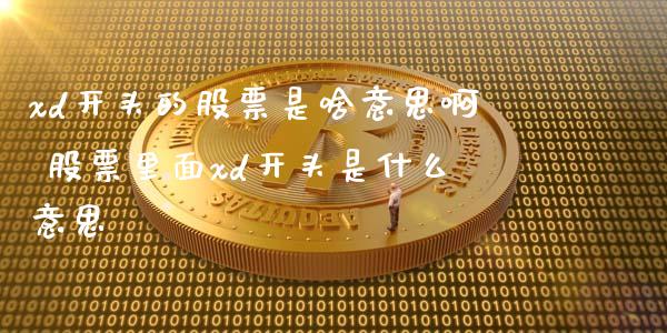 xd开头的股票是啥意思啊 股票里面xd开头是什么意思_https://www.xmqjcw.com_股票投资_第1张