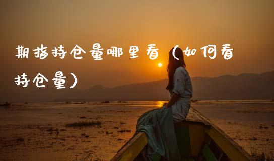 期指持仓量哪里看（如何看持仓量）_https://www.xmqjcw.com_期货投资_第1张