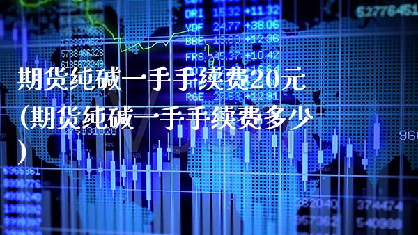 期货纯碱一手手续费20元(期货纯碱一手手续费多少)_https://www.xmqjcw.com_期货百科_第1张