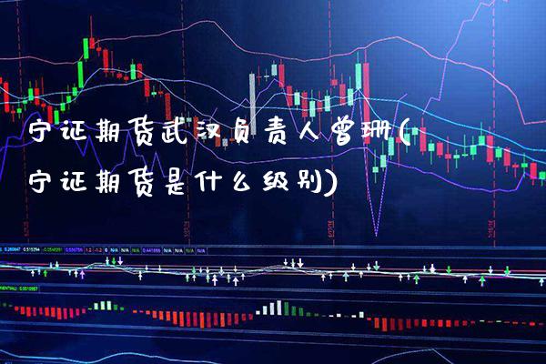 宁证期货武汉负责人曾珊(宁证期货是什么级别)_https://www.xmqjcw.com_基金理财_第1张