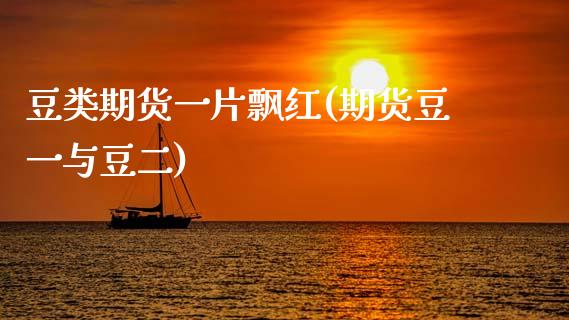 豆类期货一片飘红(期货豆一与豆二)_https://www.xmqjcw.com_期货百科_第1张