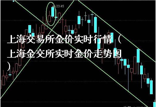 上海交易所金价实时行情（上海金交所实时金价走势图）_https://www.xmqjcw.com_期货直播室_第1张