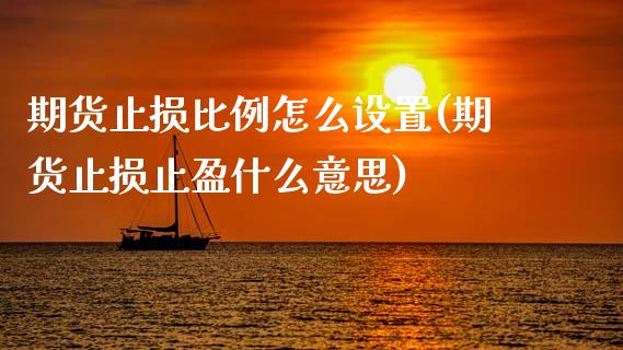 期货止损比例怎么设置(期货止损止盈什么意思)_https://www.xmqjcw.com_期货直播室_第1张