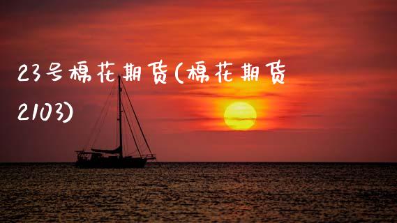 23号棉花期货(棉花期货2103)_https://www.xmqjcw.com_期货直播室_第1张