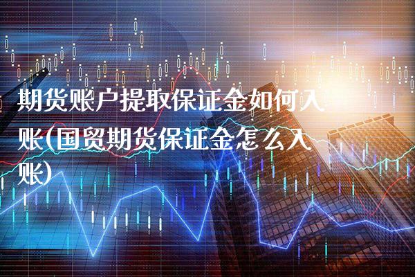期货账户提取保证金如何入账(国贸期货保证金怎么入账)_https://www.xmqjcw.com_期货投资_第1张