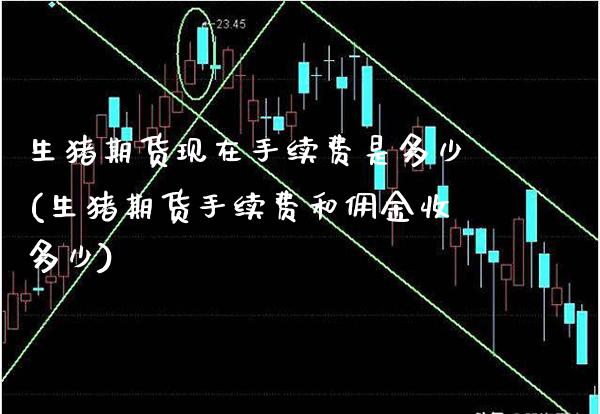 生猪期货现在手续费是多少(生猪期货手续费和佣金收多少)_https://www.xmqjcw.com_期货百科_第1张