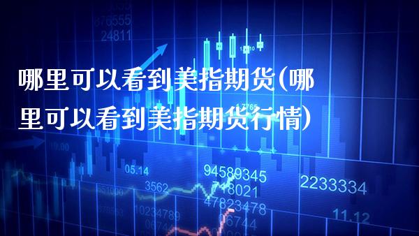 哪里可以看到美指期货(哪里可以看到美指期货行情)_https://www.xmqjcw.com_期货百科_第1张