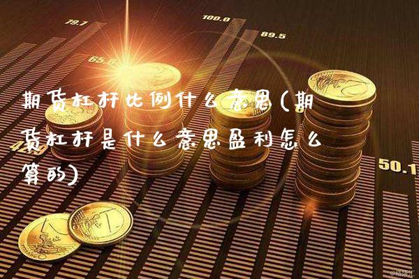 期货杠杆比例什么意思(期货杠杆是什么意思盈利怎么算的)_https://www.xmqjcw.com_期货百科_第1张