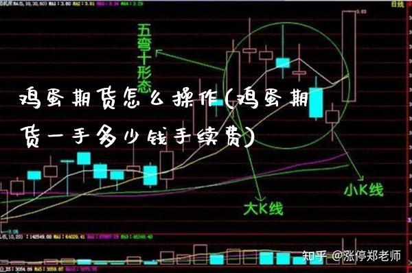 鸡蛋期货怎么操作(鸡蛋期货一手多少钱手续费)_https://www.xmqjcw.com_期货直播室_第1张