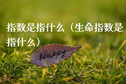 指数是指什么（生命指数是指什么）_https://www.xmqjcw.com_期货行情_第1张