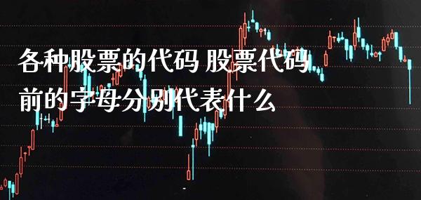 各种股票的代码 股票代码前的字母分别代表什么_https://www.xmqjcw.com_股票投资_第1张