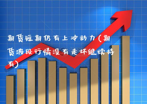 期货短期仍有上冲动力(期货波段行情没有走坏继续持有)_https://www.xmqjcw.com_期货直播室_第1张
