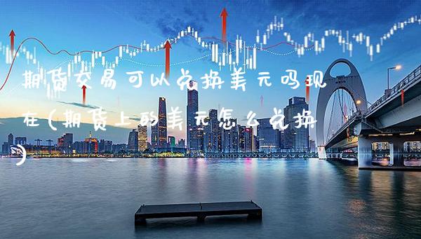 期货交易可以兑换美元吗现在(期货上的美元怎么兑换)_https://www.xmqjcw.com_期货开户_第1张