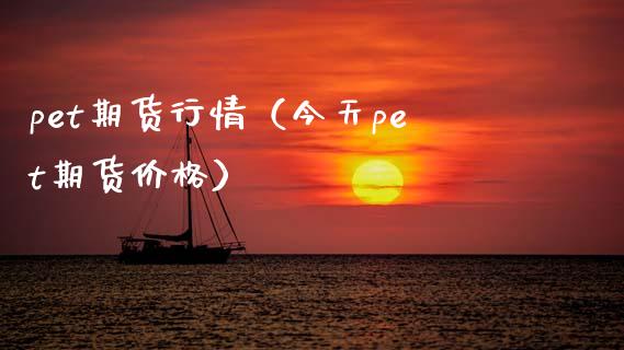 pet期货行情（今天pet期货价格）_https://www.xmqjcw.com_期货投资_第1张
